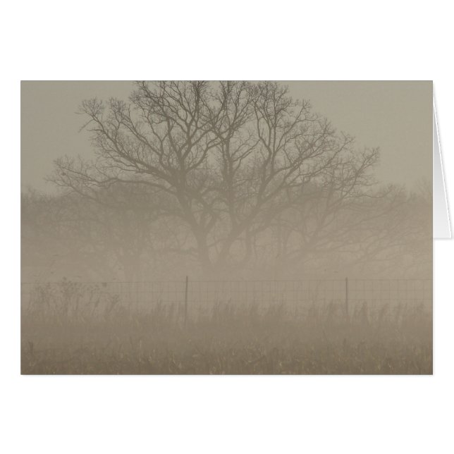 Foggy Tree (Vorderseite (Horizontal))