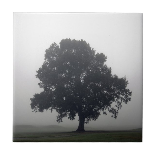 Foggy Tree Fliese (Vorderseite)