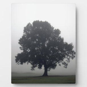 Foggy Tree Fotoplatte
