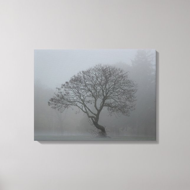 Foggy Tree Leinwanddruck (Vorderseite)