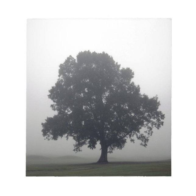 Foggy Tree Notizblock (Vorderseite)