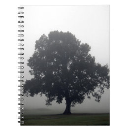 Foggy Tree Notizblock