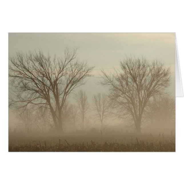 Foggy Trees (Vorderseite (Horizontal))