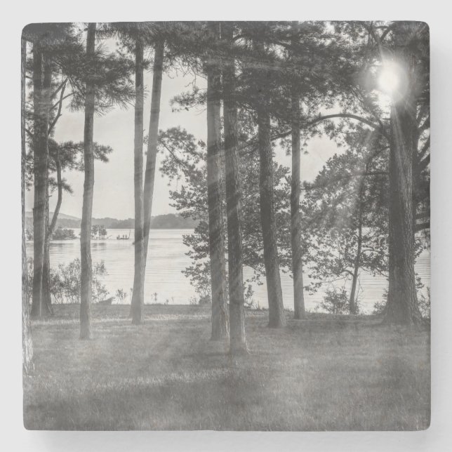 Foggy Trees an Table Rock Graustufen Steinuntersetzer (Vorderseite)