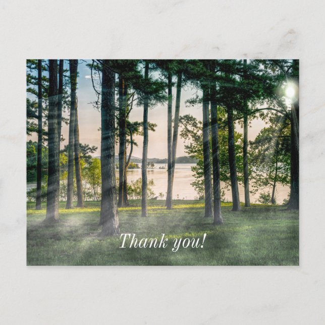 Foggy Trees at Table Rock Danke Postcard Postkarte (Vorderseite)