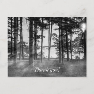 Foggy Trees at Table Rock Graustufen Vielen Dank Postkarte