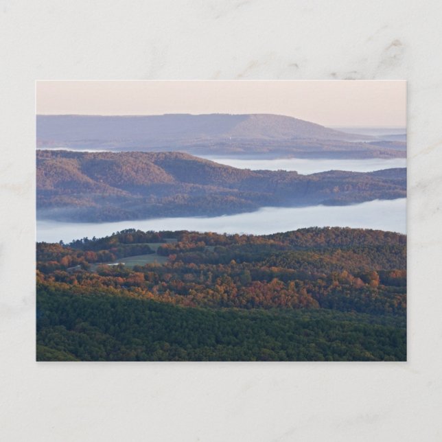 Foggy valleys and fall foliage in Ozark Postkarte (Vorderseite)