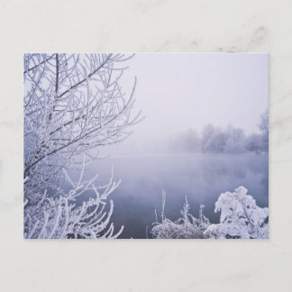 Foggy Winter Day am Fluss Postkarte