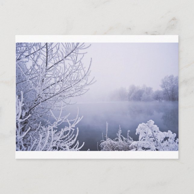 Foggy Winter Day am Fluss Postkarte (Vorderseite)
