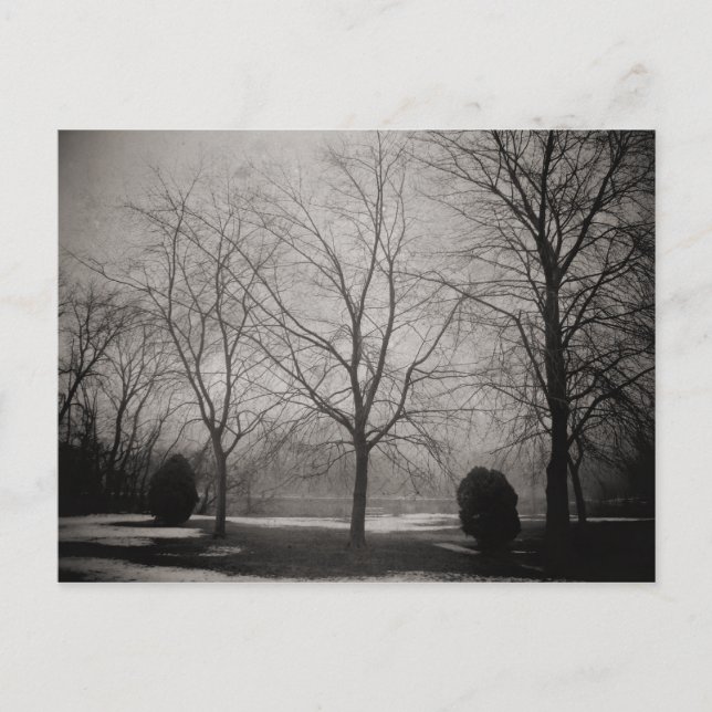 Foggy Winter Melken Snow Postkarte (Vorderseite)