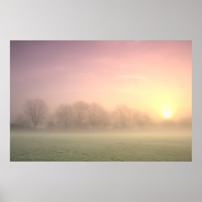 Foggy Winter Sunrise (6598) Poster (Vorne)