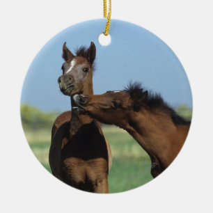 Fohlen, die 2 spielen keramikornament