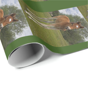 Fohlen Geschenkpapier