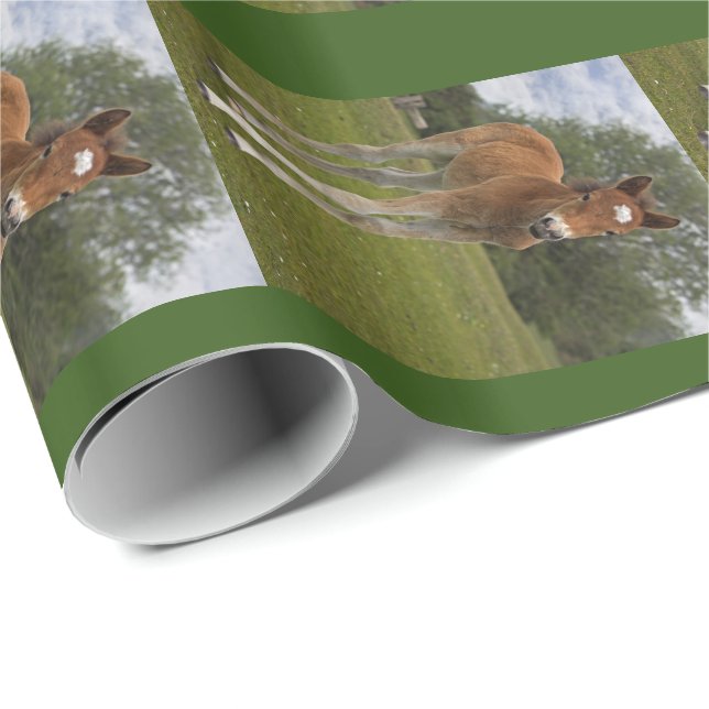 Fohlen Geschenkpapier (Rolleneckpunkt)