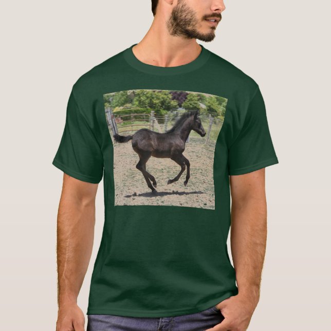 Fohlen-Scherz T-Shirt (Vorderseite)
