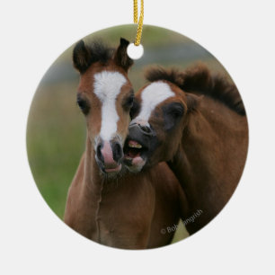 Fohlen-Spielen Keramikornament