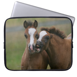 Fohlen-Spielen Laptopschutzhülle