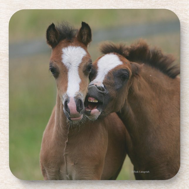 Fohlen-Spielen Untersetzer (Vorderseite)