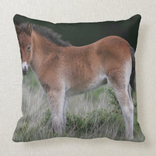 Fohlen stehend kissen