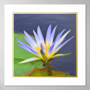 Foil Accent Yellow & Lavender Water Lilie Print Foliendrucke