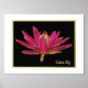 Foil Water Lily Print Poster