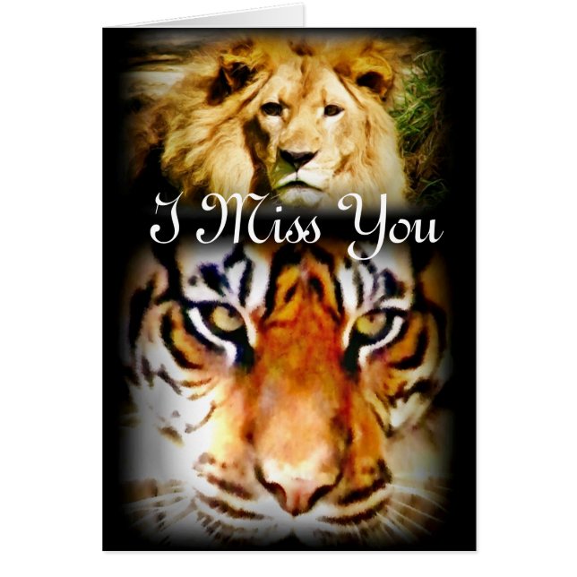 Fokus & Courage_ (Vorne)