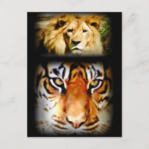 Fokus & Courage_ Postkarte