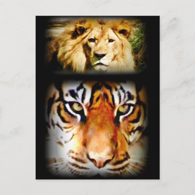 Fokus & Courage_ Postkarte (Vorderseite)