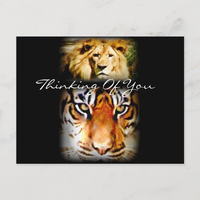 Fokus & Courage_ Postkarte (Vorderseite)