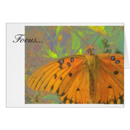 Fokus-Schmetterling