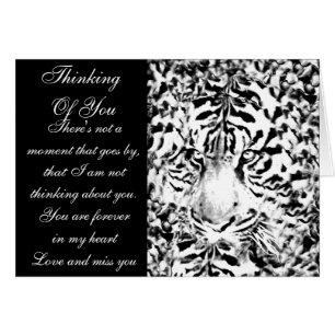 Fokussiert bleibe#5_