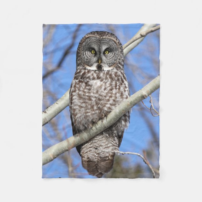 Fokussiert Fleecedecke (Vorderseite)