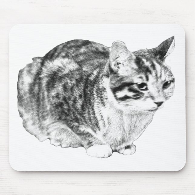 Fokussierter Tabby, Samttische Töne Mousepad (Vorne)