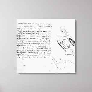 Fol. 49v vom Kodex Arundel 263, 1490s-1518 Leinwanddruck