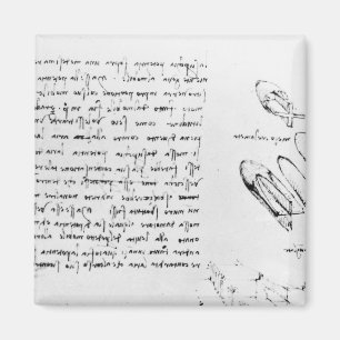 Fol. 49v vom Kodex Arundel 263, 1490s-1518 Magnet