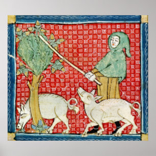 Fol.59v November: Ansammlung Acorns Poster