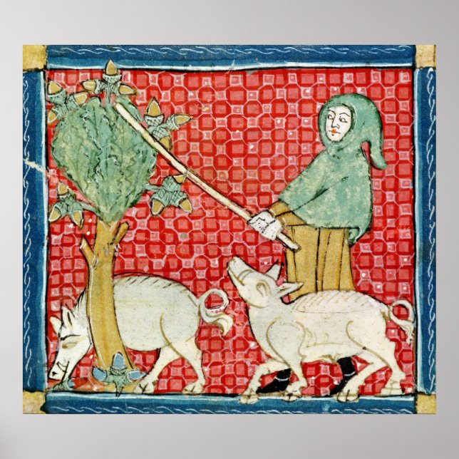 Fol.59v November: Ansammlung Acorns Poster (Vorne)