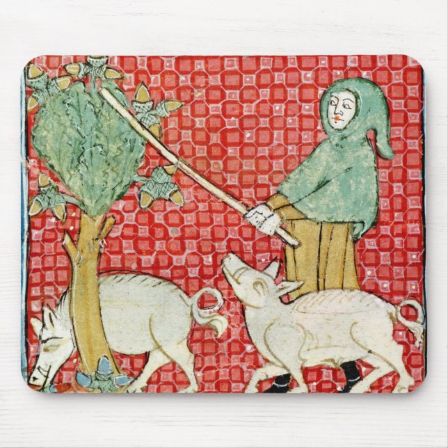 Fol.59v November: Ansammlungs-Eicheln Mousepad (Vorne)