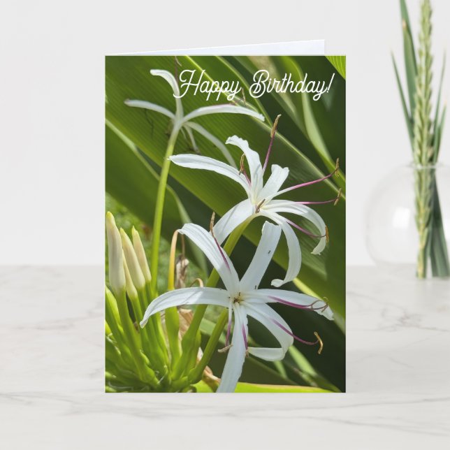 Folded Greeting Card Karte (Vorderseite)