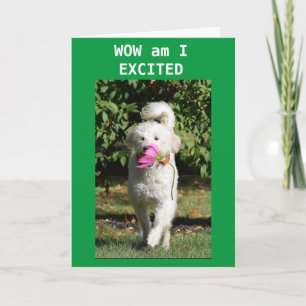 Folded Greeting Card Karte