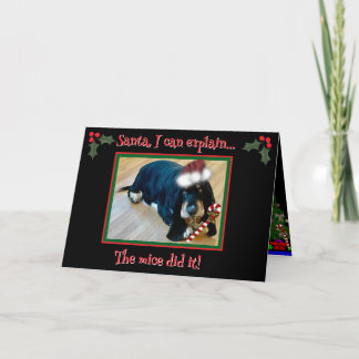 Folded Greeting Card Karte