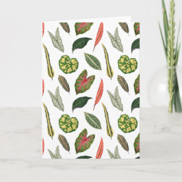 Folded Greeting Card Karte