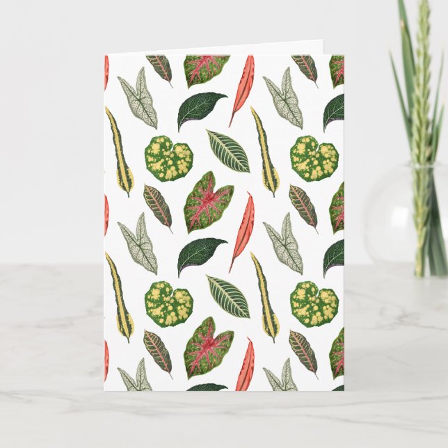 Folded Greeting Card Karte (Vorderseite)