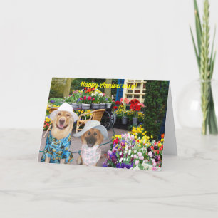 Folded Greeting Card Karte