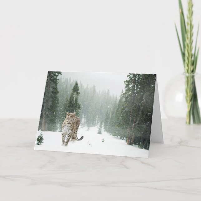 Folded Note Card LEOPARD NOTECARD (Vorderseite)