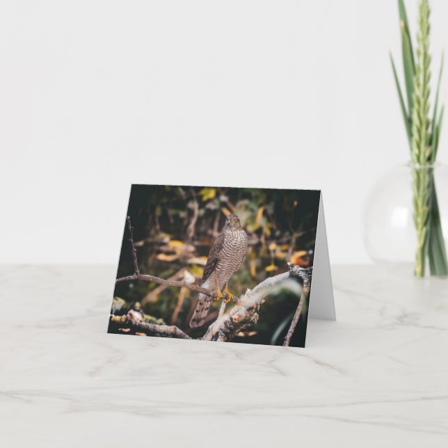 Folded Thank You Card Dankeskarte (Vorderseite)