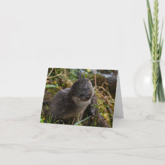 Folded Thank You Card Dankeskarte