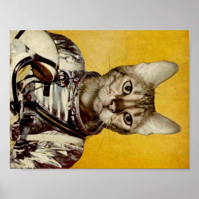 Folge deinen Träumen Poster (Vorne)