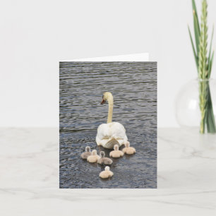 Folgen (Mute-Swan-Cygnets #4) - Blank-Notiz-Karte Karte