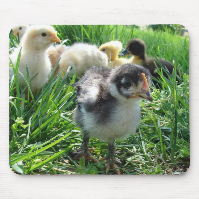 Folgen Sie dem Führer Mousepad (Vorne)